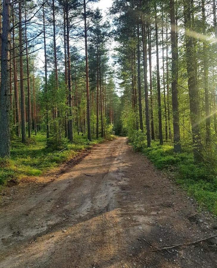 Hotel Glampingtaelt Torsby Zewnętrze zdjęcie