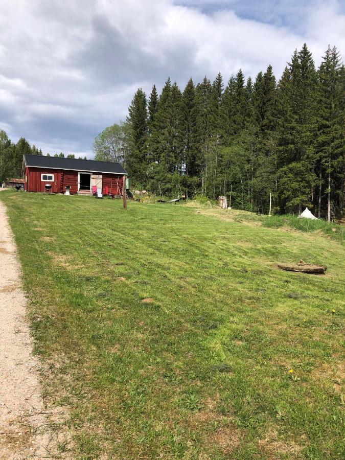 Hotel Glampingtaelt Torsby Zewnętrze zdjęcie