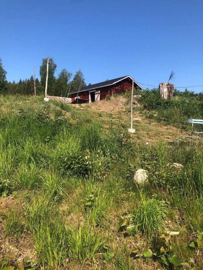 Hotel Glampingtaelt Torsby Zewnętrze zdjęcie